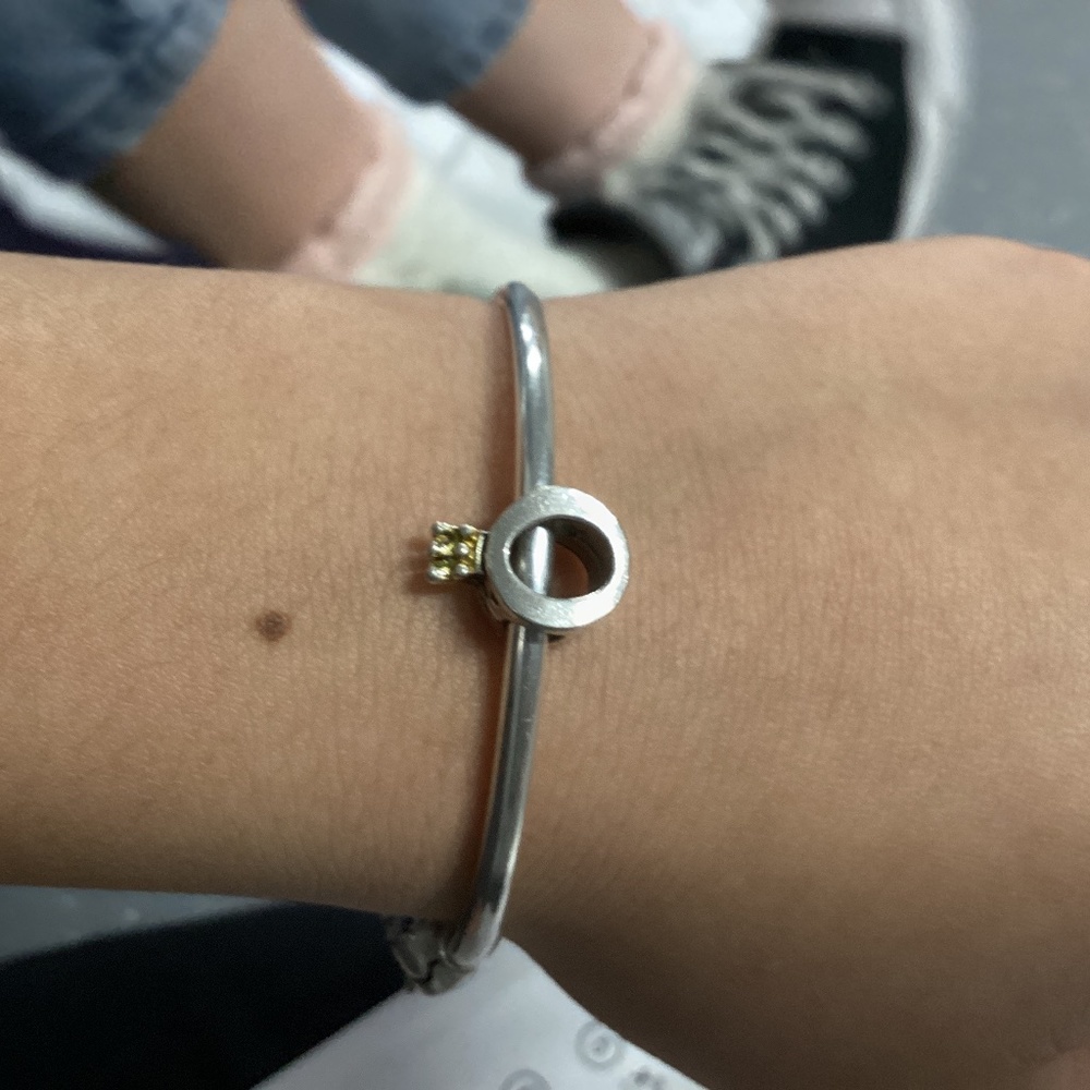 Pandora bracelet charm and fuzzy sock (never worn only on bc we were testing)